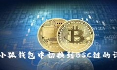 如何在小狐钱包中切换到BSC链的详细指南